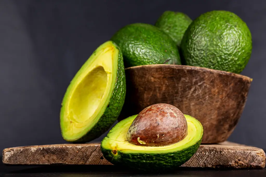 avocat diete cétogène