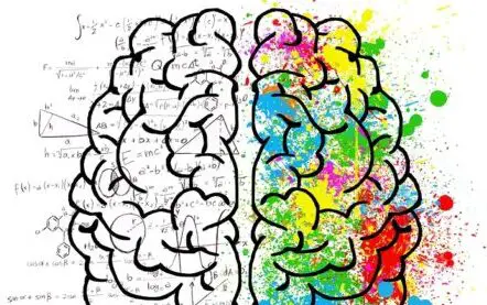 cerveau cetogene